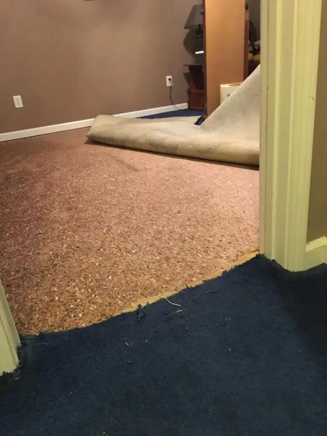 Carpet pad removal revealing water damage during Water Mitigation Services in Waynesboro
