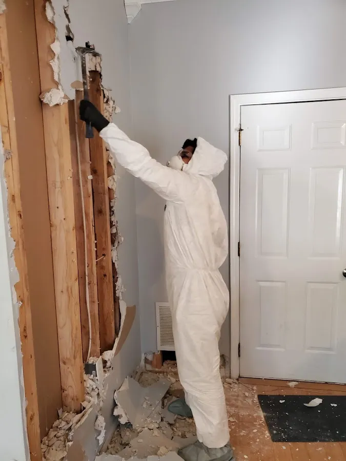 Mold Remediation & Removal in Waynesboro, VA